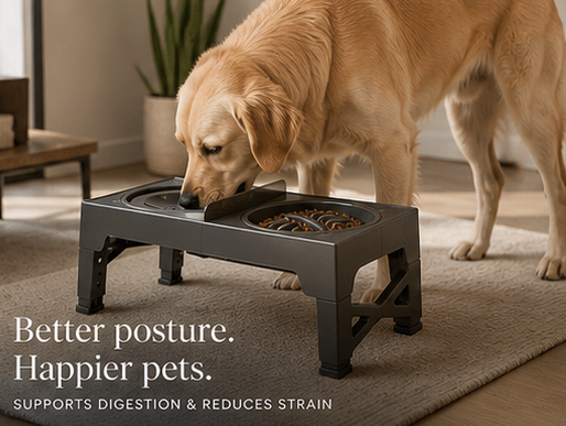Adjustable dog feeder 2